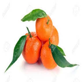 Clementine Orry (1 pièce)