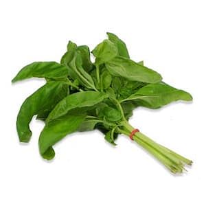 basilic Basilic (1 Botte)