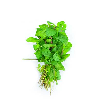 Menthe (1 Botte)